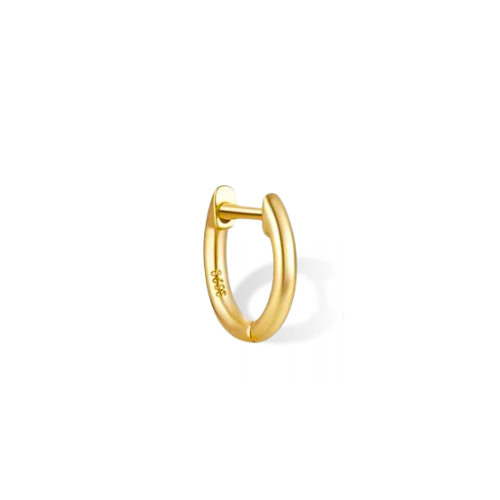 Zierliche Creolen | Goldene Ohrringe